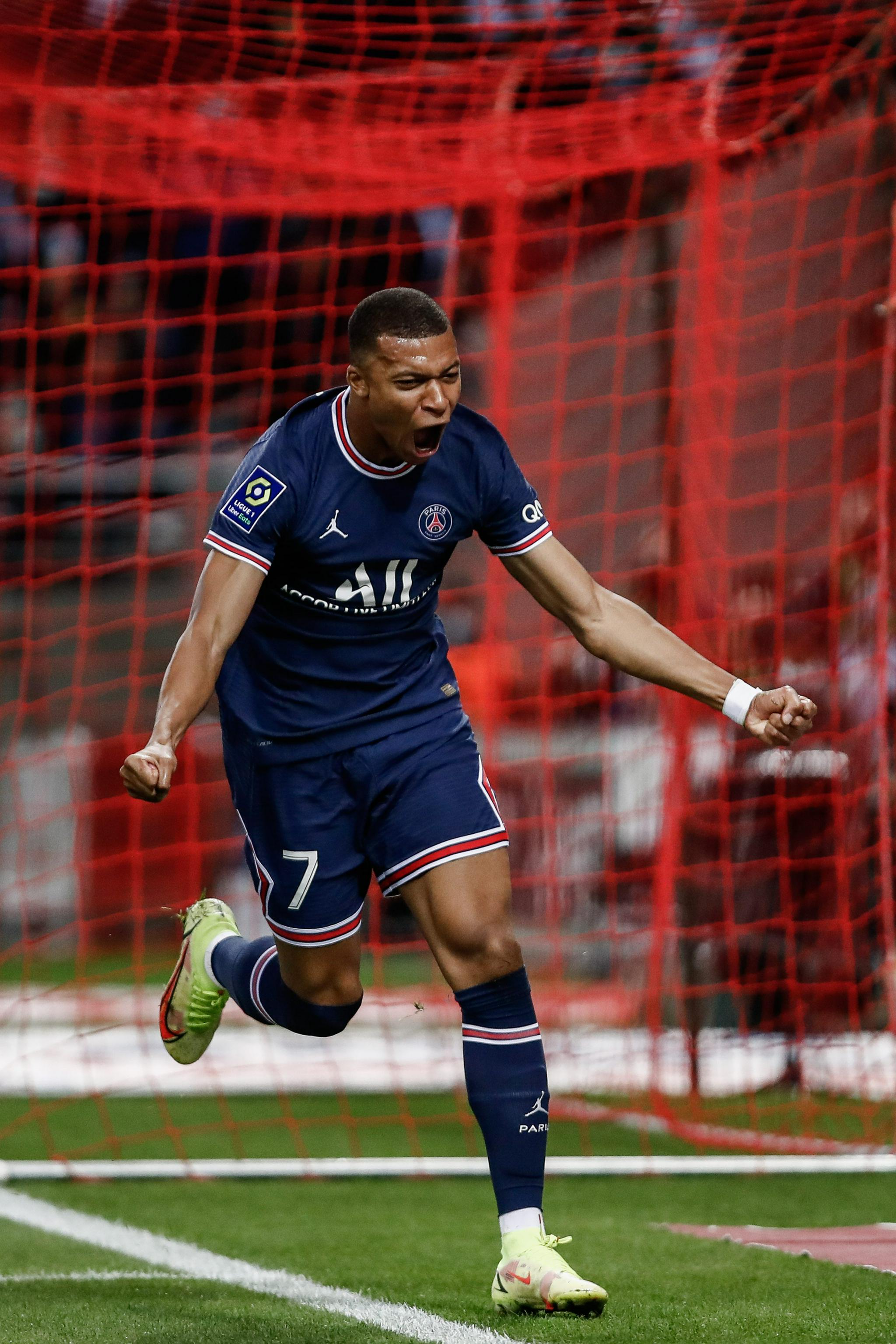 致敬，都柏林动物园将一只极度濒危的鹦鹉取名特洛伊-帕罗特（都柏林动物园致敬命名一只极危鹦鹉为特洛伊-帕罗特）